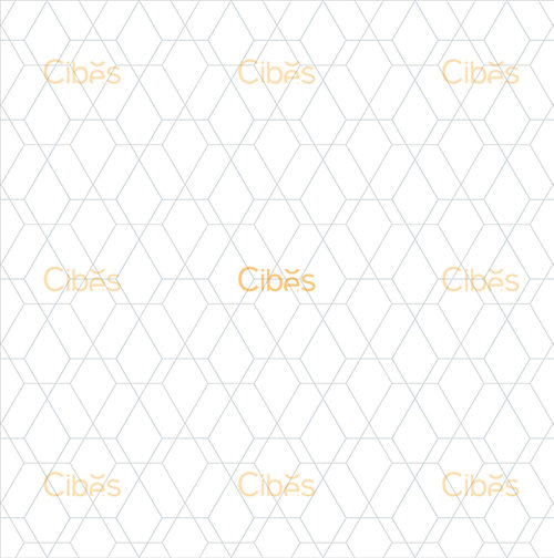 菱之序背景墻定制家用電梯