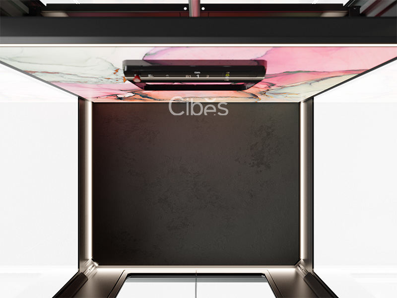 s80時尚版家用電梯地墊