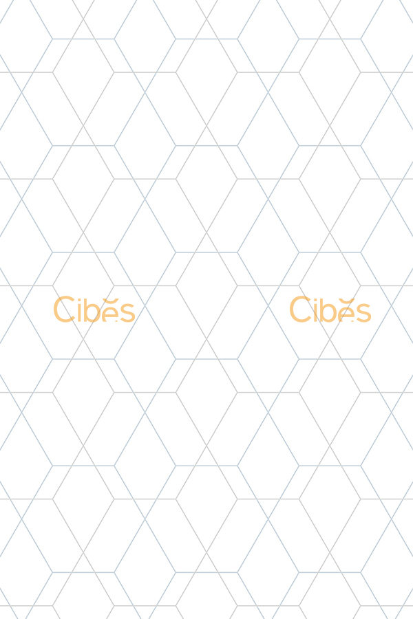 菱之序背景墻定制家用電梯