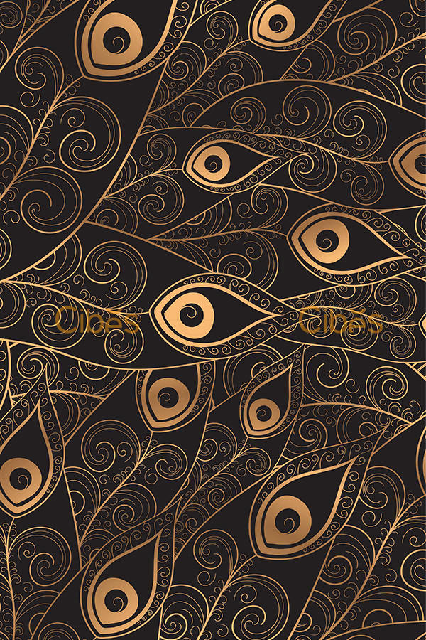 雀羽展背景墻定制家用電梯