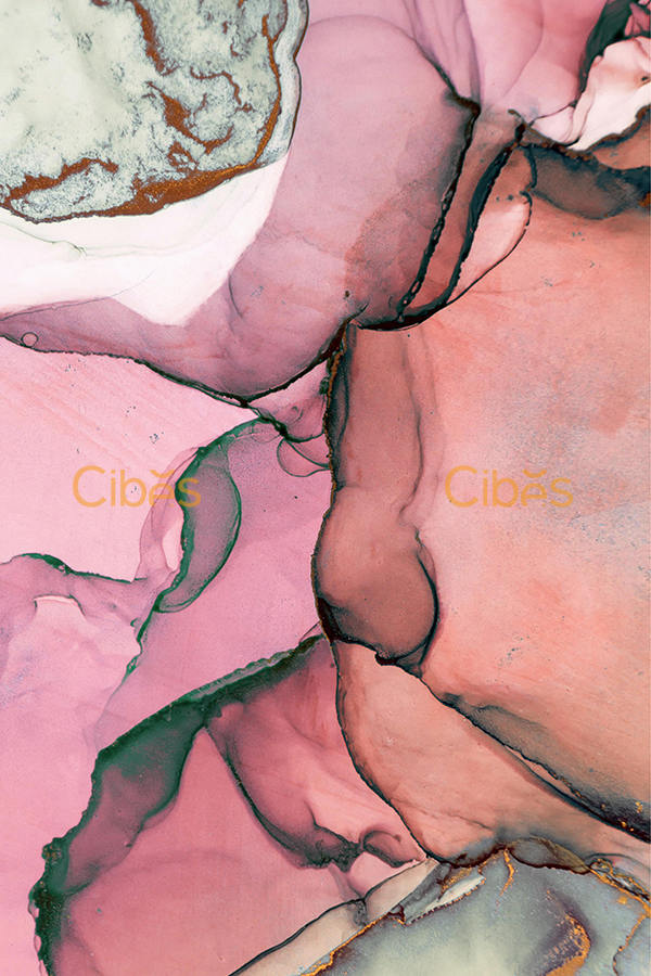 紅粉珊瑚背景墻定制家用電梯